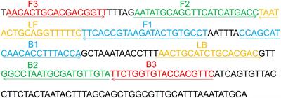 Development and clinical application of a endonuclease restriction real-time loop-mediated isothermal amplification (ERT-LAMP) assay for rapid detection of Haemophilus influenzae